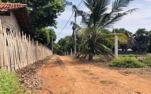 Land for sale in Thanankilappu
