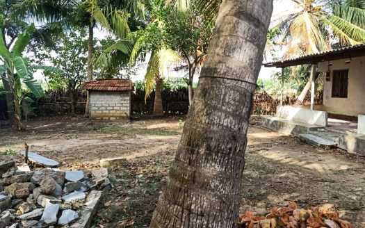 House for sale in Tholpuram