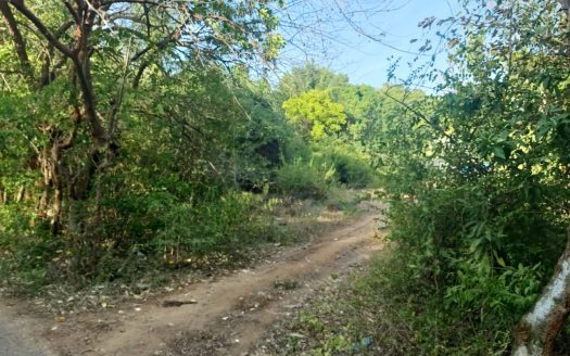 Land for sale in Pandatharippu Amman Road.