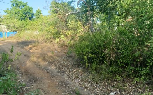 Land for sale in Pandatharippu Amman Road.