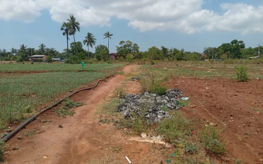 Land for sale in Achelu