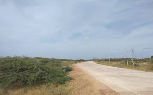 Road facing land for sale in Mannar