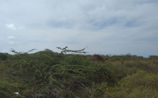 Road facing land for sale in Mannar