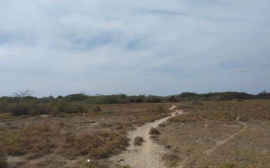 Road facing land for sale in Mannar