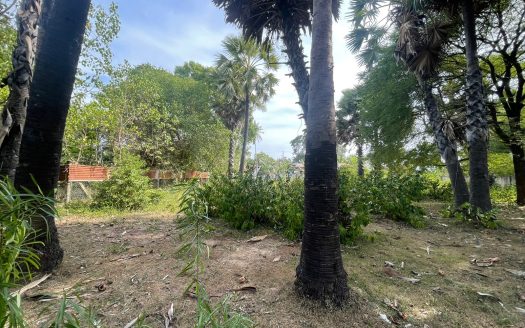 Road side land for sale in Arali