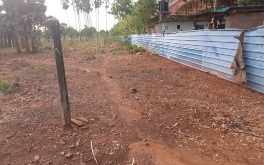 Land for sale in Thellippalai
