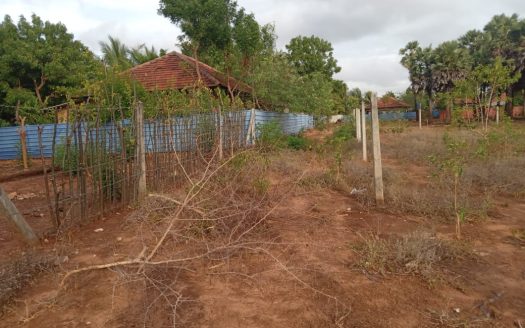 Land for sale in Thellippalai