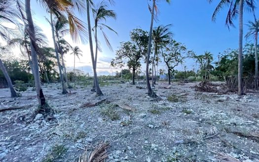 Land for sale in near the bank of ceylon Nainativu
