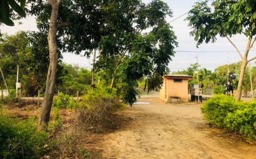 Road face land for sale in Thellipalai