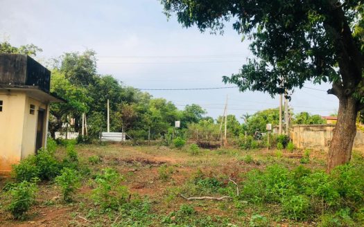 Road face land for sale in Thellipalai