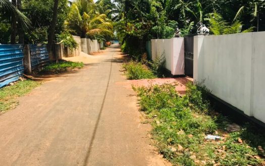 Land for sale in Thirunelveli
