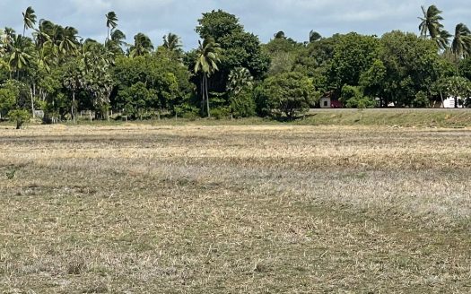 Paddy land for sale in Mirusuvil