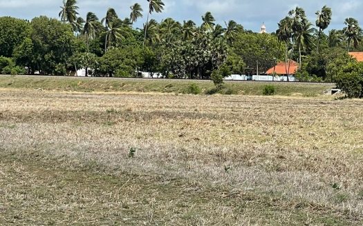 Paddy land for sale in Mirusuvil
