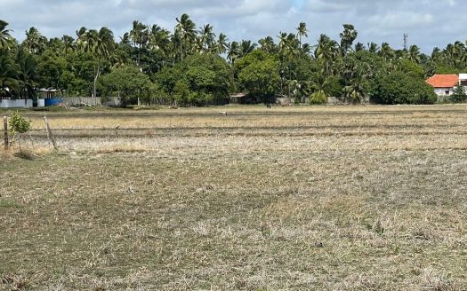 Paddy land for sale in Mirusuvil