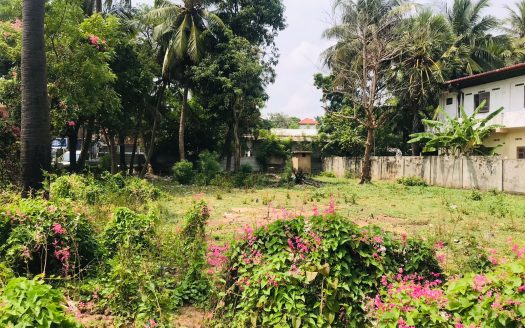 Land for Sale in Navalar Road and Kacheri Nallur Road