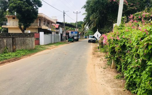 Land for Sale in Navalar Road and Kacheri Nallur Road