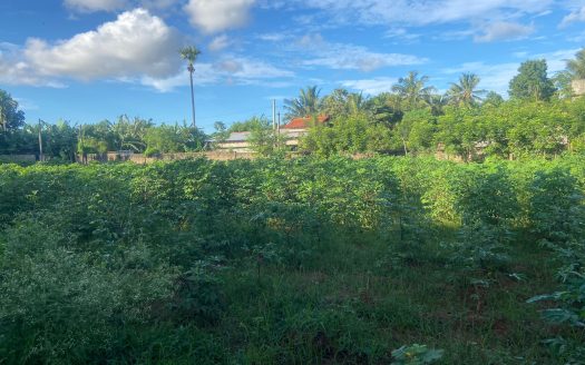 Land for sale in Kopay