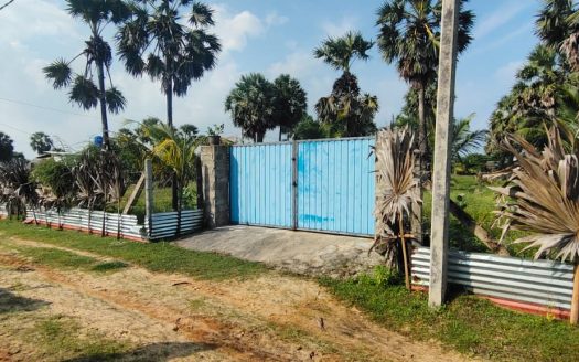 House with farm for sale in Iyakkachchi