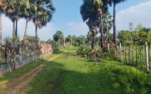 House with farm for sale in Iyakkachchi