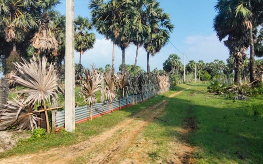 House with farm for sale in Iyakkachchi