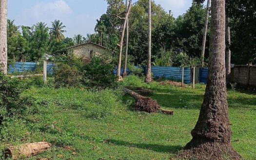 Land for sale at Goodshed Road in Kondavil