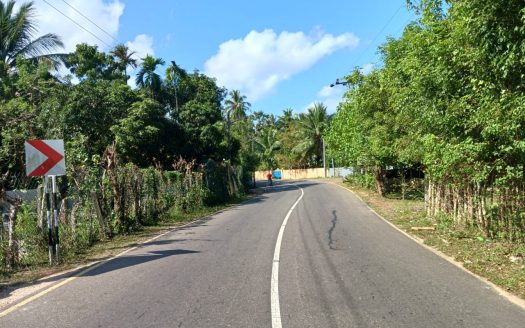 Land for sale on the main road from Pandatharippu to Sithankeny (near Arsadi Junction)