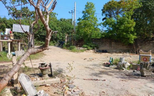 Land for sale on the main road from Pandatharippu to Sithankeny (near Arsadi Junction)