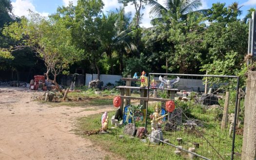 Land for sale on the main road from Pandatharippu to Sithankeny (near Arsadi Junction)