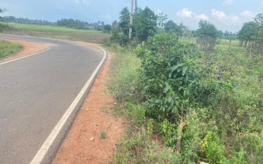 Land for sale at Puttur Aavarangal