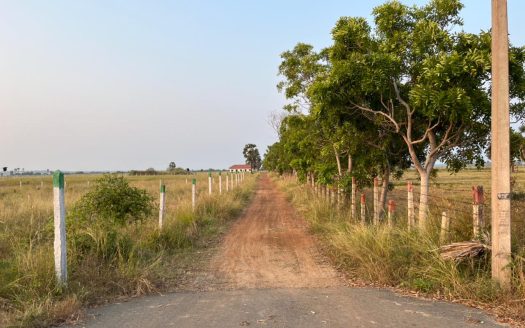 Land for Sale in 100 M Near A9 Road Navatkuli Bridge