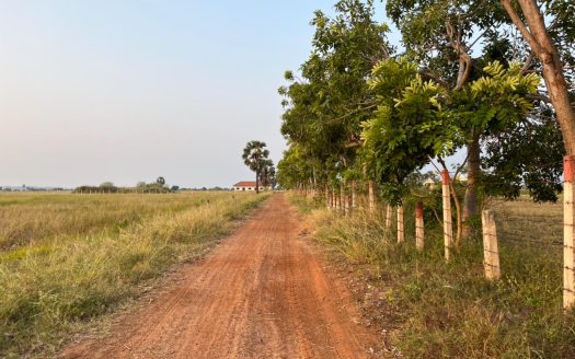 Land for Sale in 100 M Near A9 Road Navatkuli Bridge