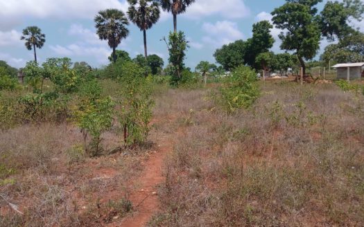 Land for sale in Vasavilan