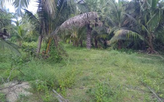 House for sale with land at near the 100 M distance from Mankulam Road Thanniyuttru