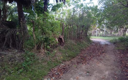 House for sale with land at near the 100 M distance from Mankulam Road Thanniyuttru