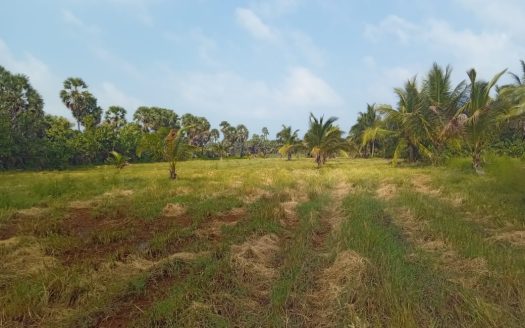 Mullaittivu Kokkulai road land for sale
