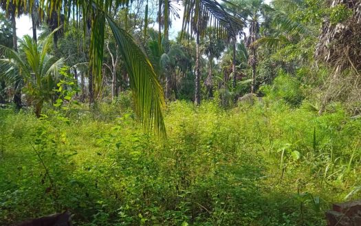 House for sale with land at near the 100 M distance from Mankulam Road Thanniyuttru