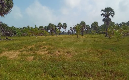 Mullaittivu Kokkulai road land for sale