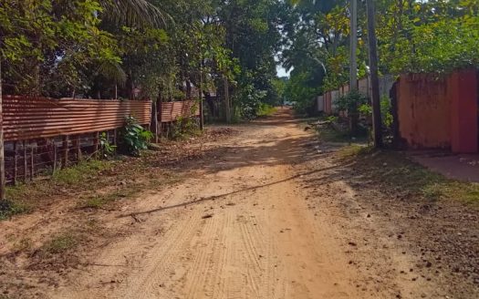 House for sale with land at thanniyutttru