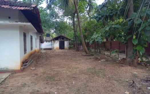 House for sale with land at thanniyutttru