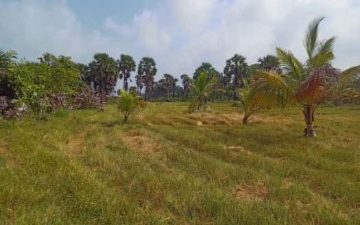 Mullaittivu Kokkulai road land for sale