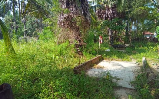 House for sale with land at near the 100 M distance from Mankulam Road Thanniyuttru