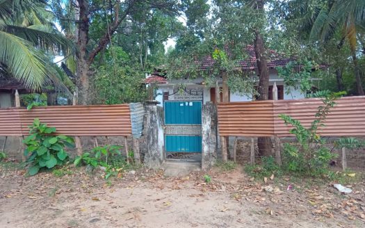 House for sale with land at thanniyutttru