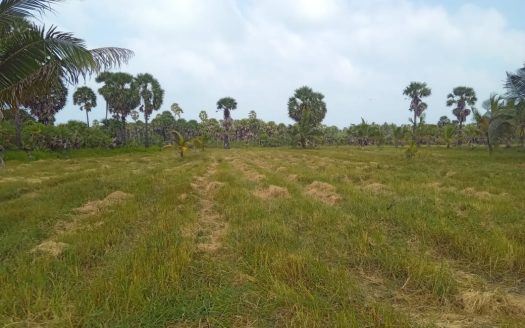 Mullaittivu Kokkulai road land for sale