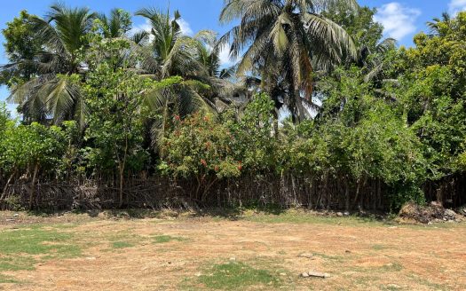 Land for sale in Echchamottai
