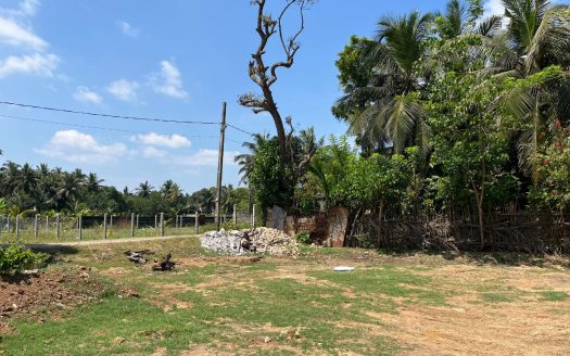 Land for sale in Echchamottai