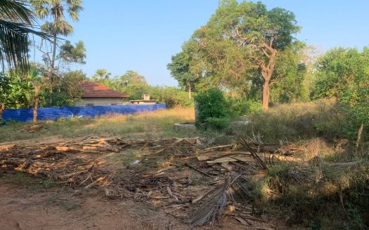 Land for sale in Mavittapuram
