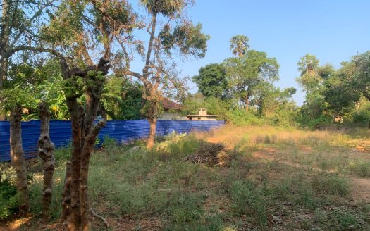 Land for sale in Mavittapuram
