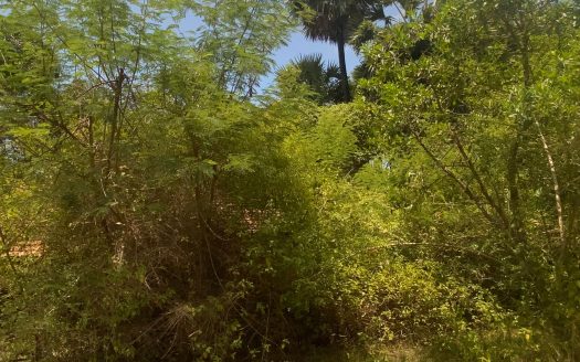 Land for sale in Karainagar