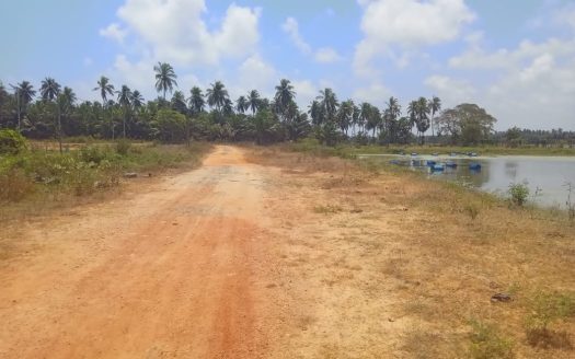 Farm for sale in Mullaitivu Uppumaveli