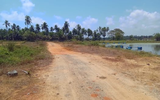 Farm for sale in Mullaitivu Uppumaveli